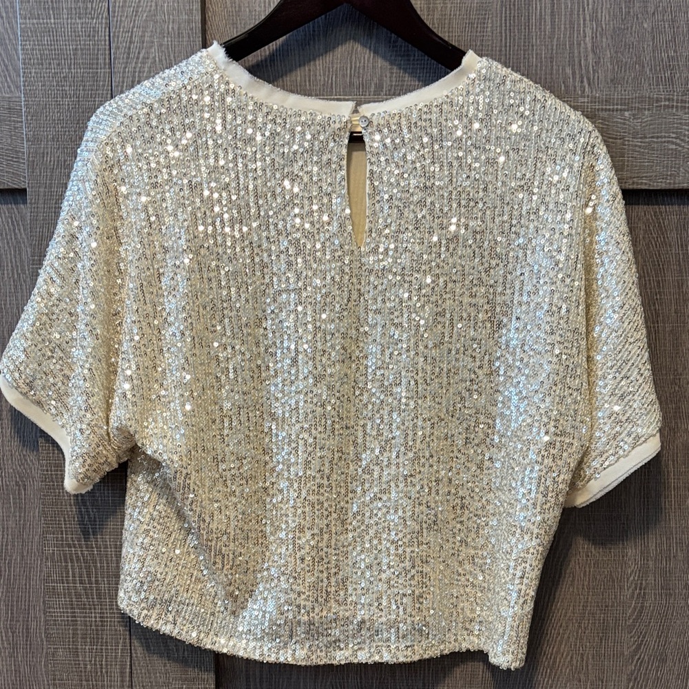 Lucy Paris Shimmering Silver Sequin Crop Top - Picture 3 of 8